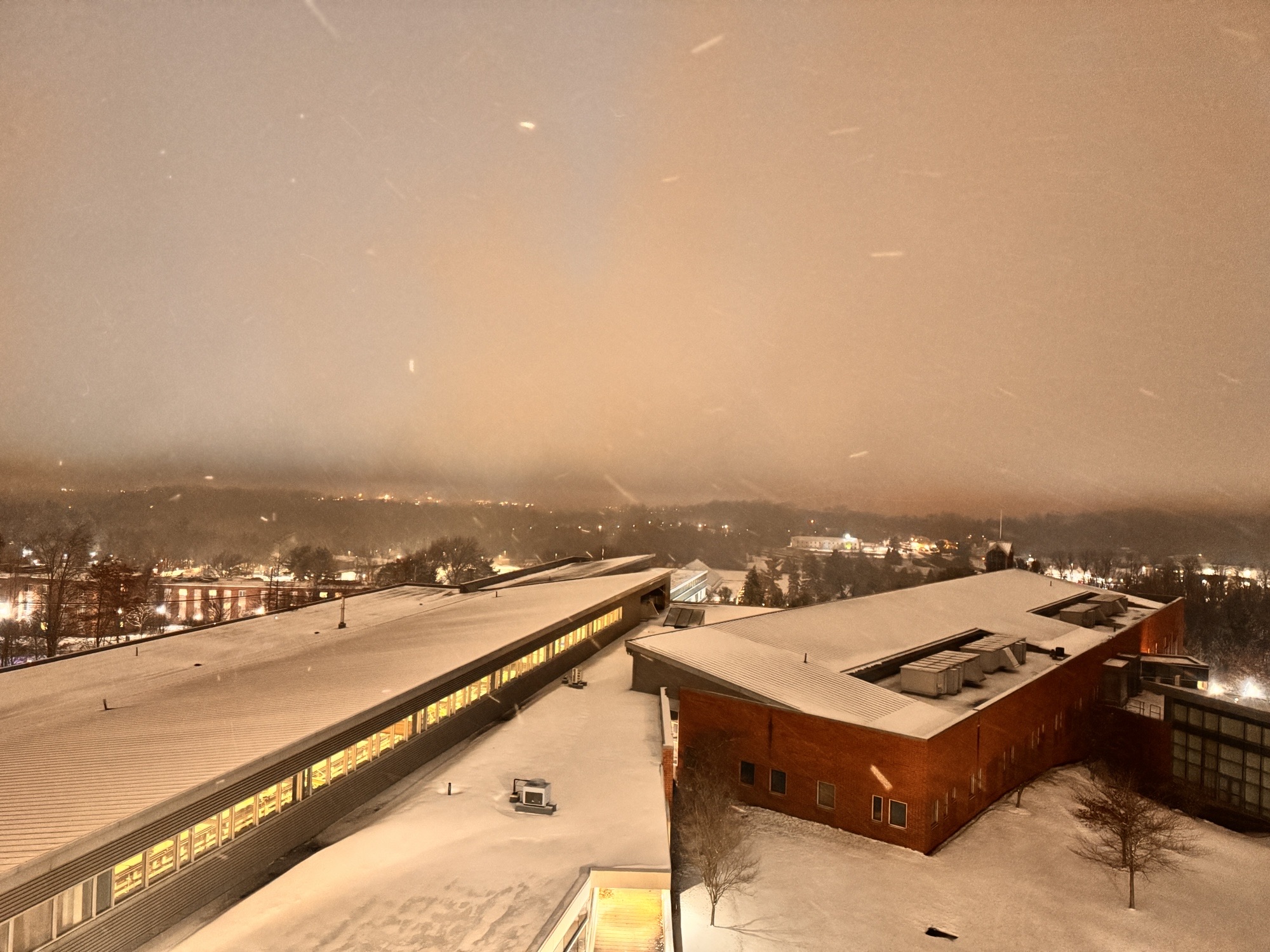 Is Anyone Out There?