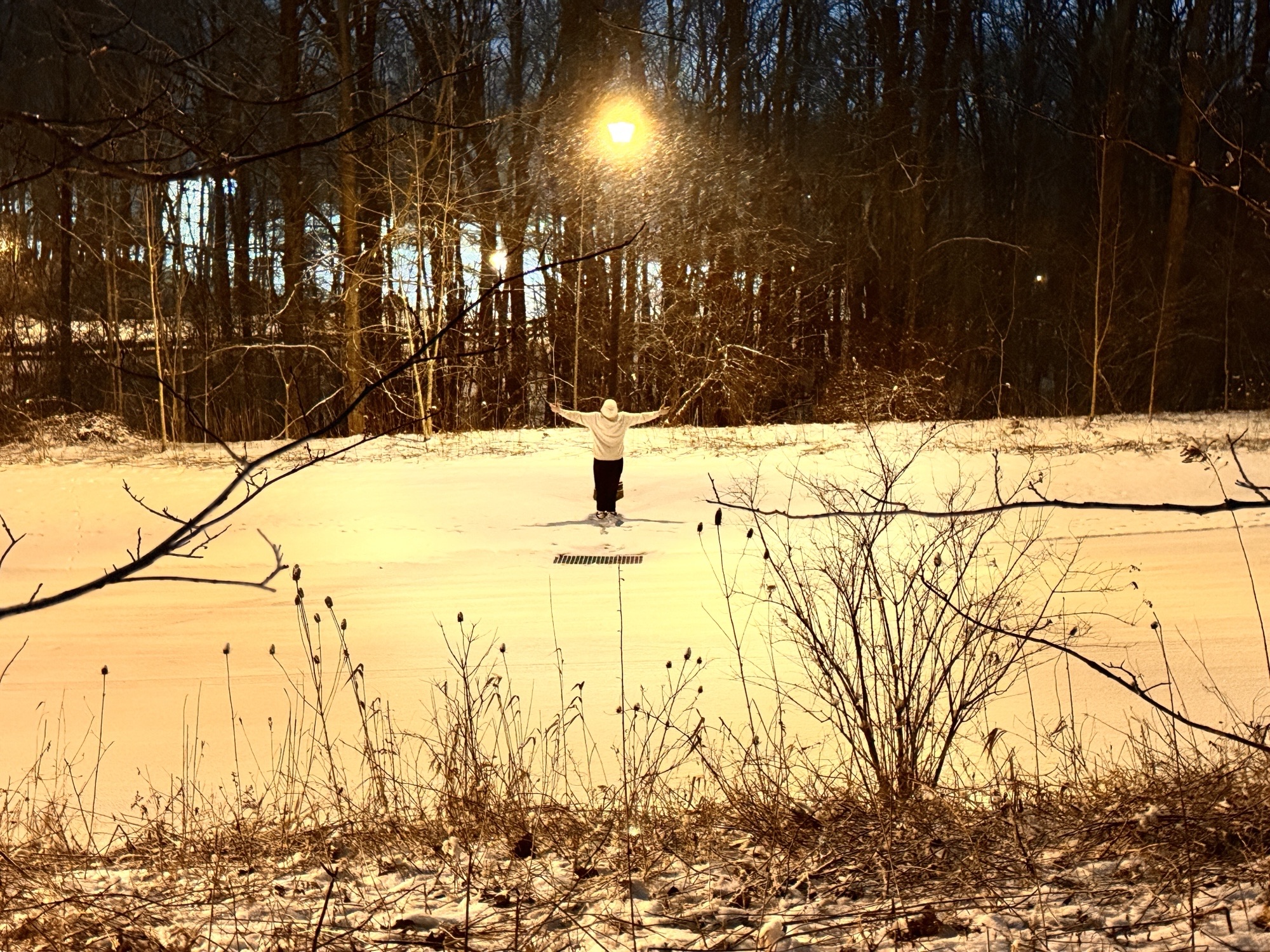 Illumination Under Him