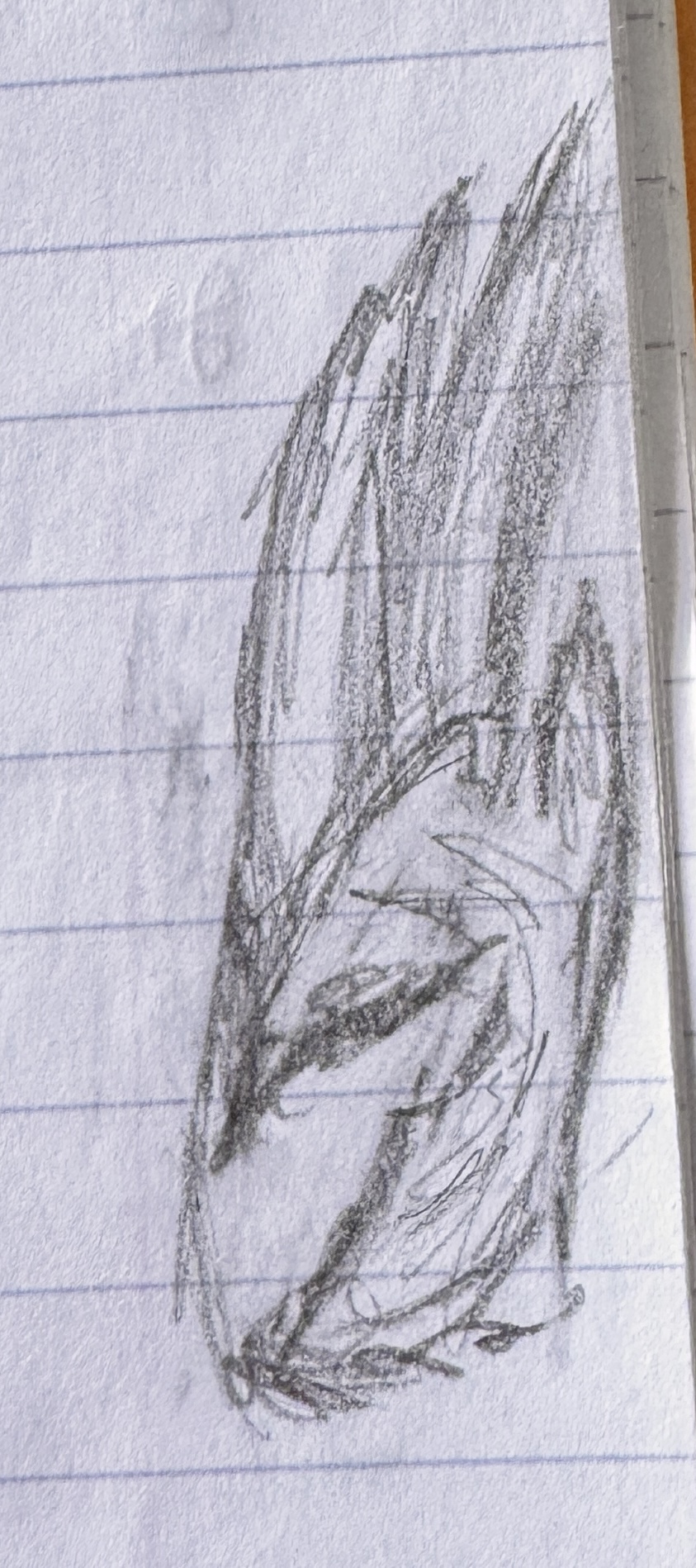 Best attempt at a hand