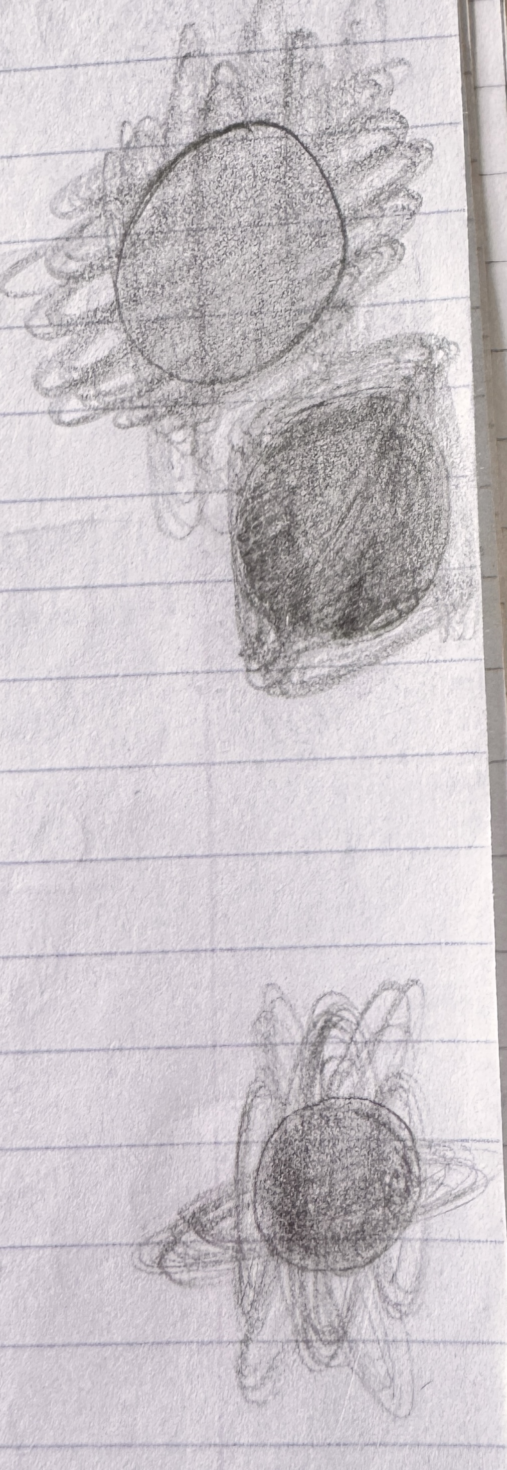 Part of the Orb Series