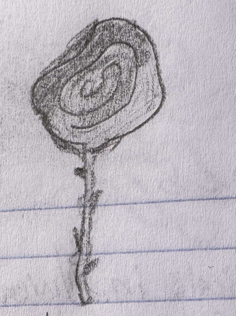 A simple Rose